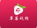 草莓视频下载安装,轻松享受精彩内容